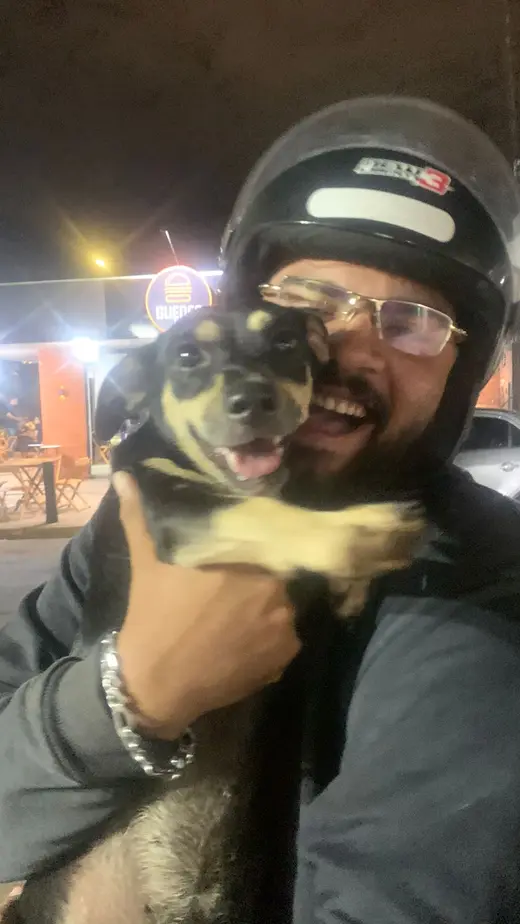 Perro de Erika reencontrado