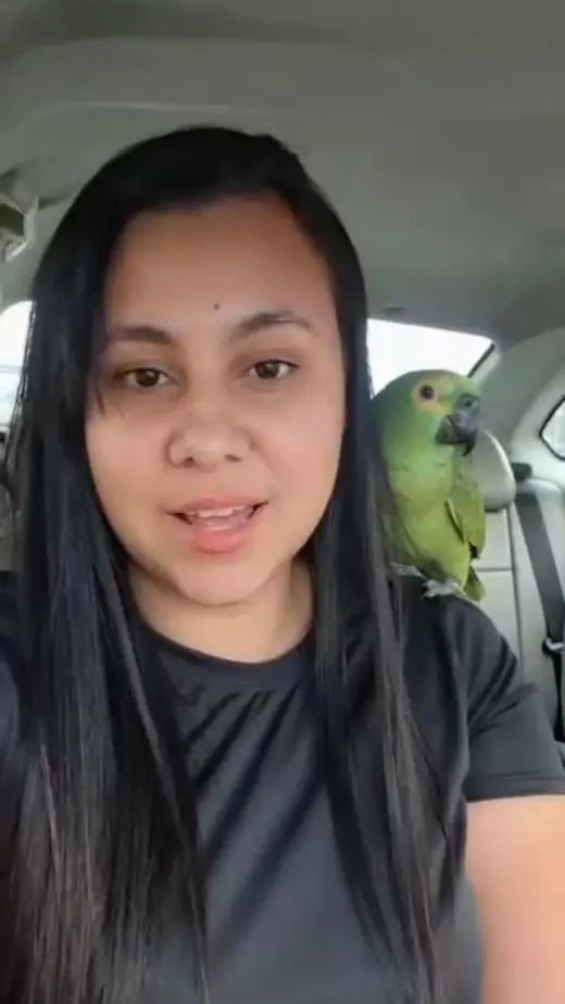 Reencuentro de Michele con su pájaro