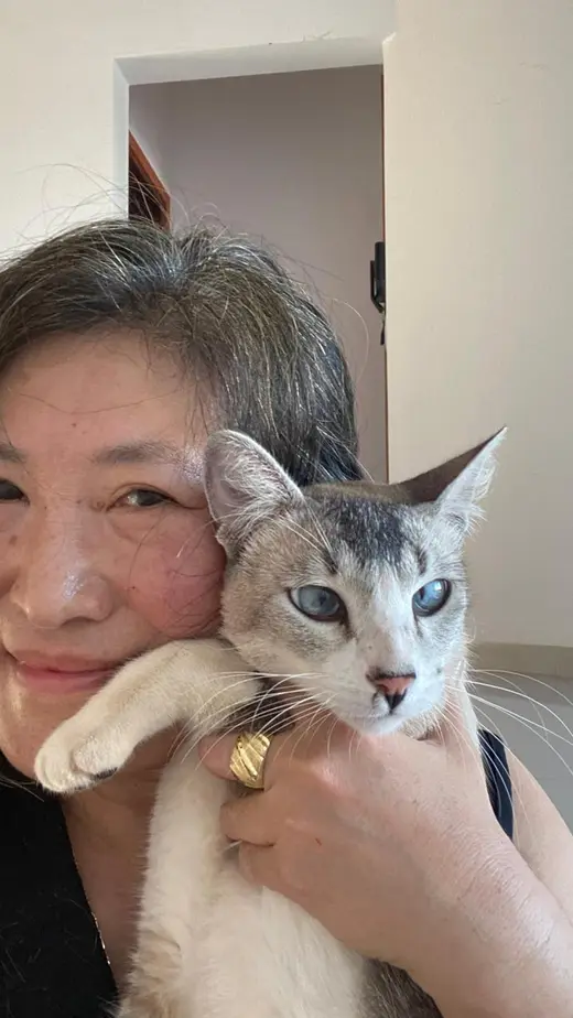 Reencuentro de Vilma con su gato